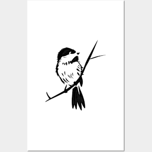 Black-capped Chickadee Bird Posters and Art